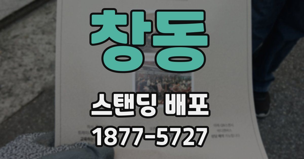 창동 스탠딩 배포