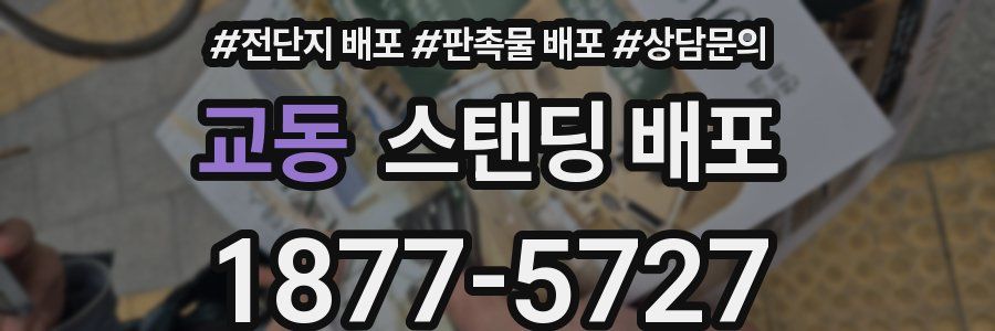 교동 스탠딩 배포