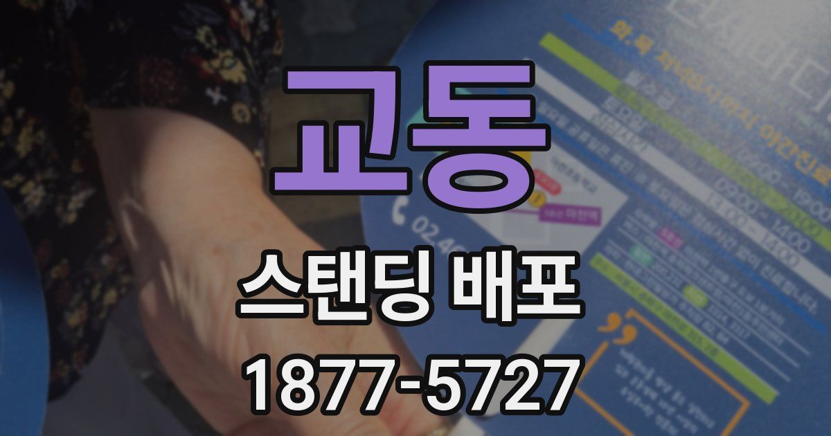 교동 스탠딩 배포