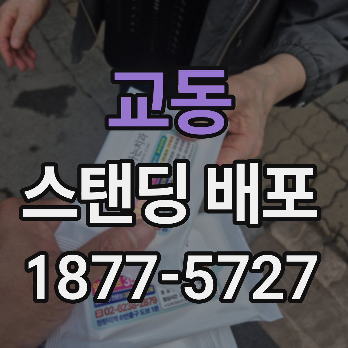 교동 스탠딩 배포