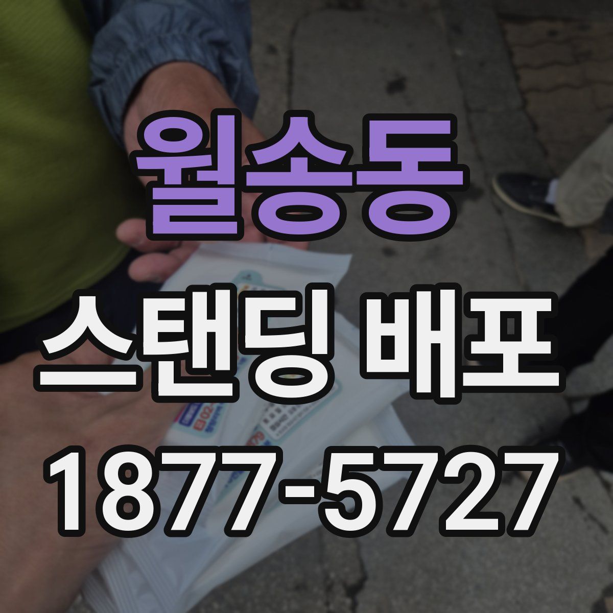 월송동 스탠딩 배포