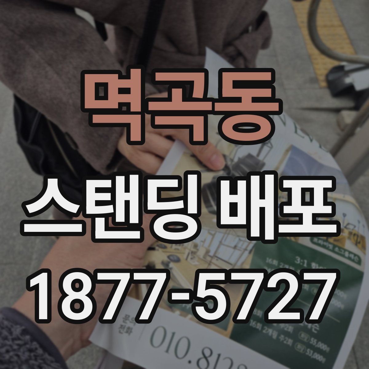 멱곡동 스탠딩 배포