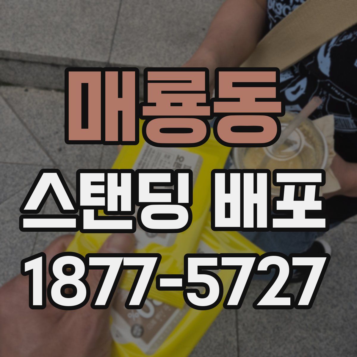 매룡동 스탠딩 배포