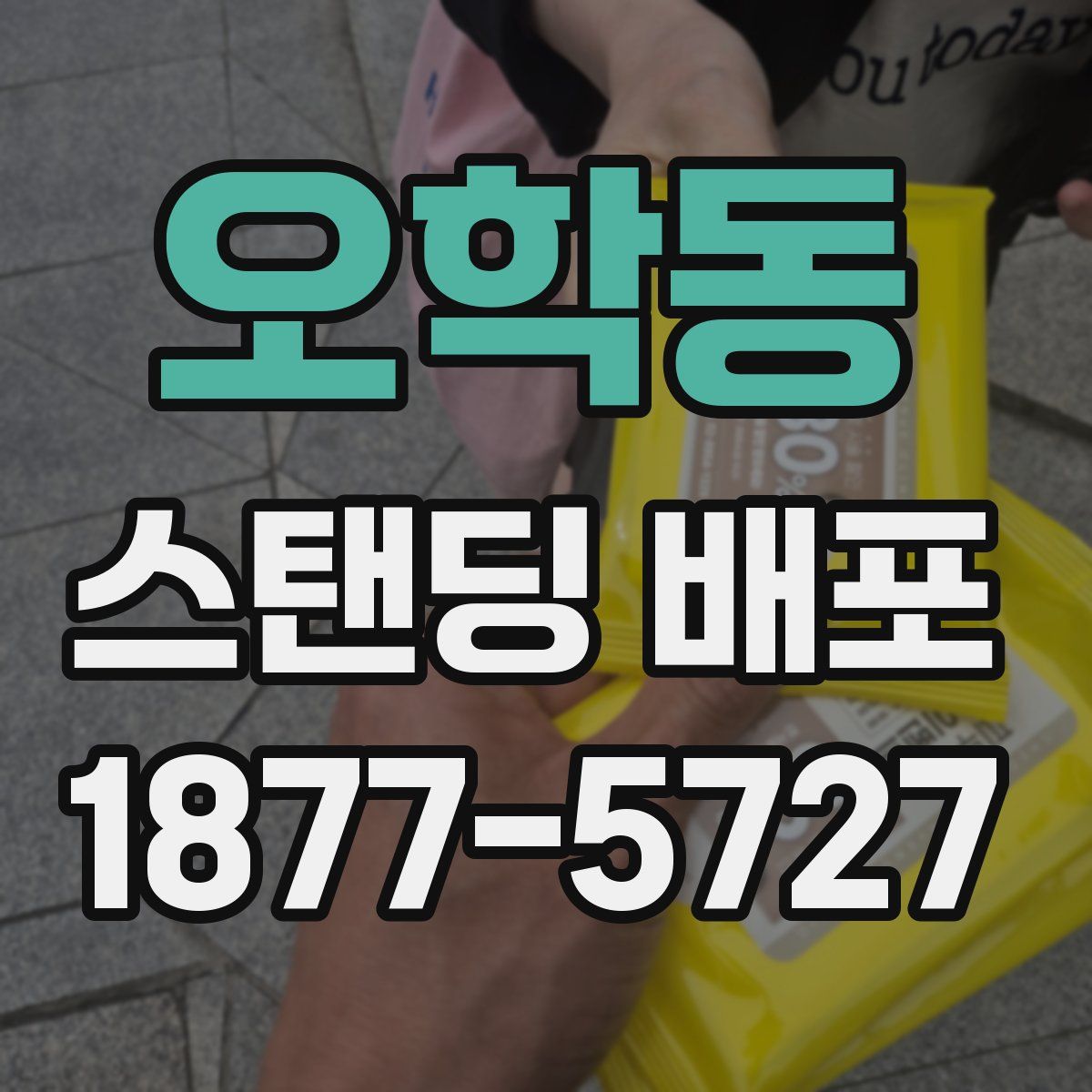 오학동 스탠딩 배포