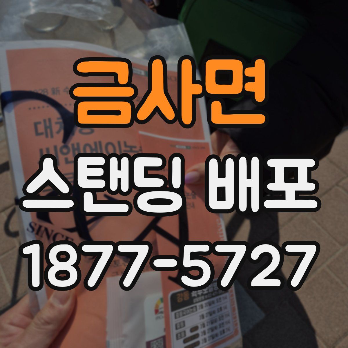 금사면 스탠딩 배포