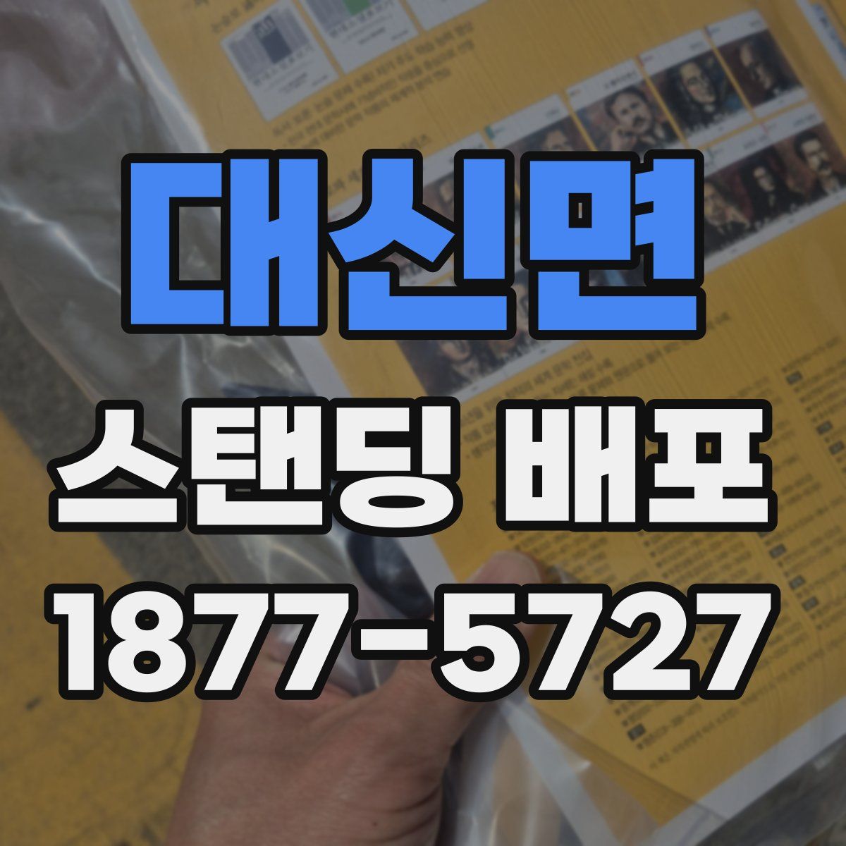 대신면 스탠딩 배포