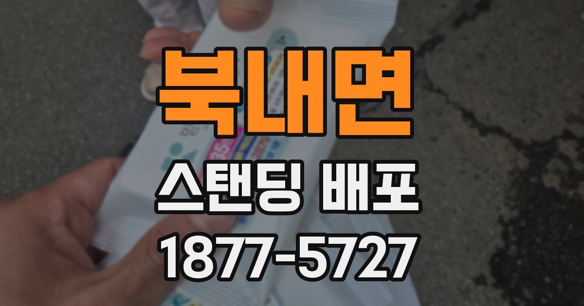 북내면 스탠딩 배포