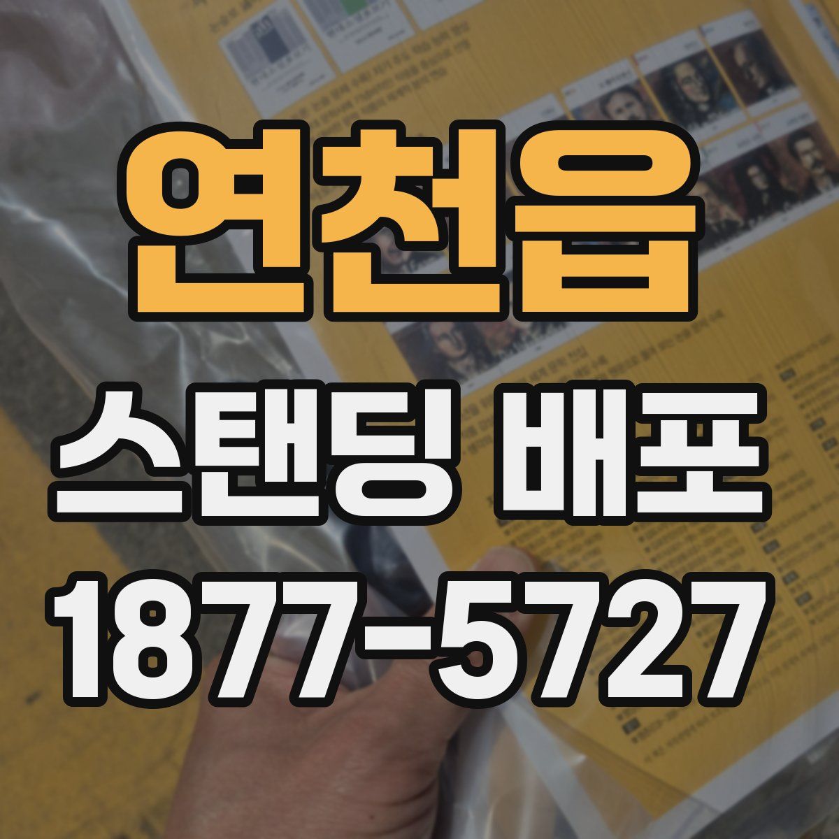 연천읍 스탠딩 배포