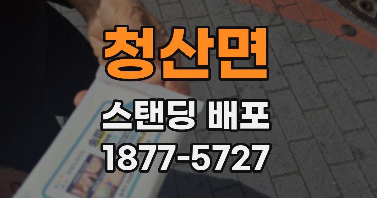 청산면 스탠딩 배포