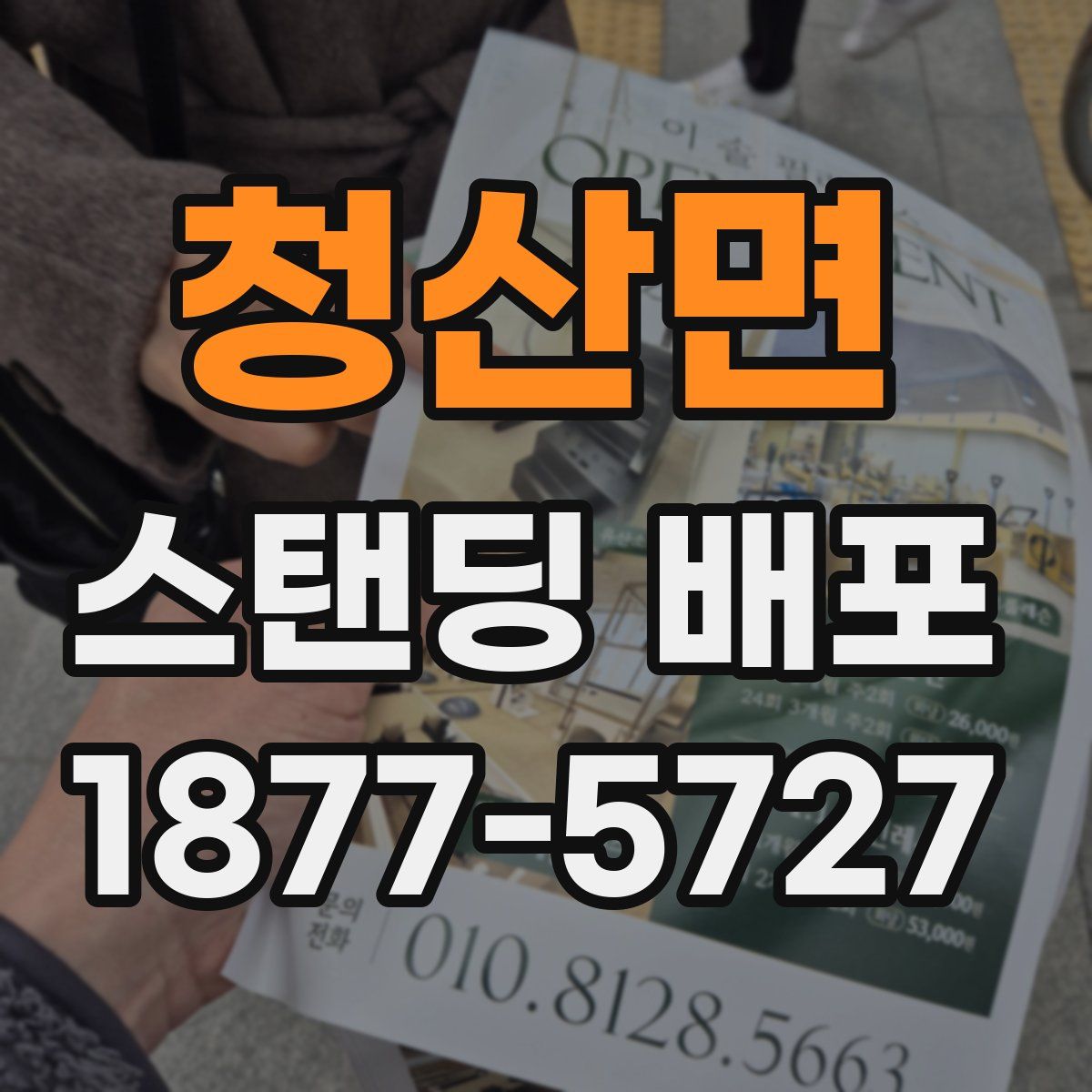 청산면 스탠딩 배포