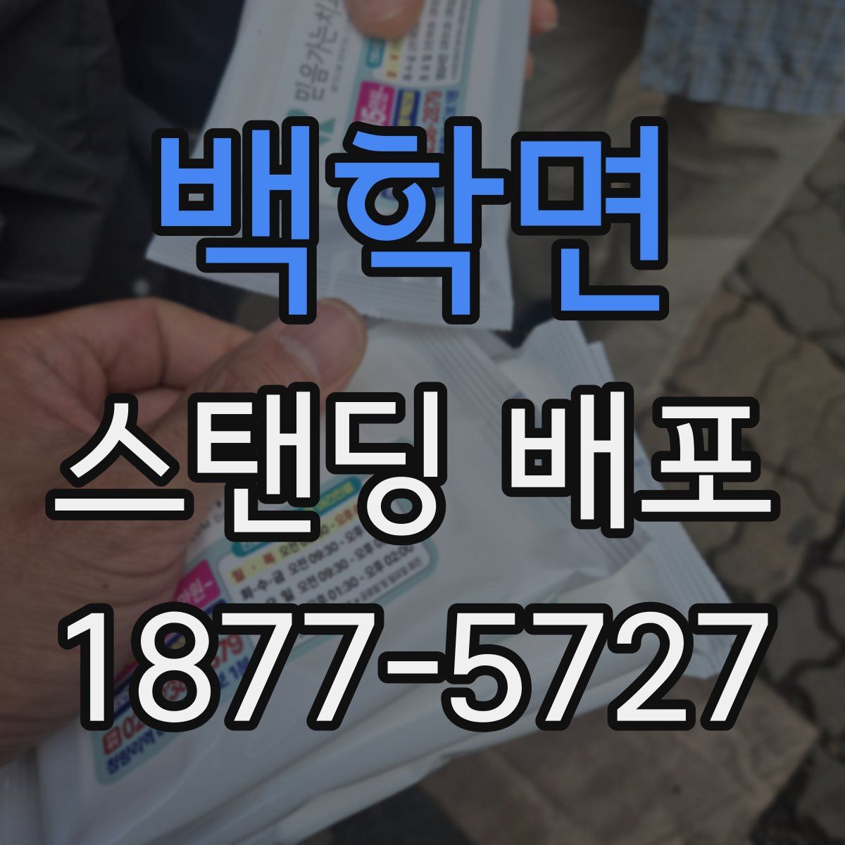 백학면 스탠딩 배포