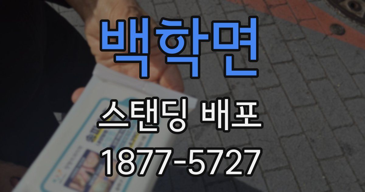 백학면 스탠딩 배포