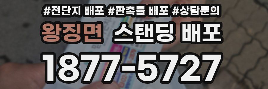 왕징면 스탠딩 배포