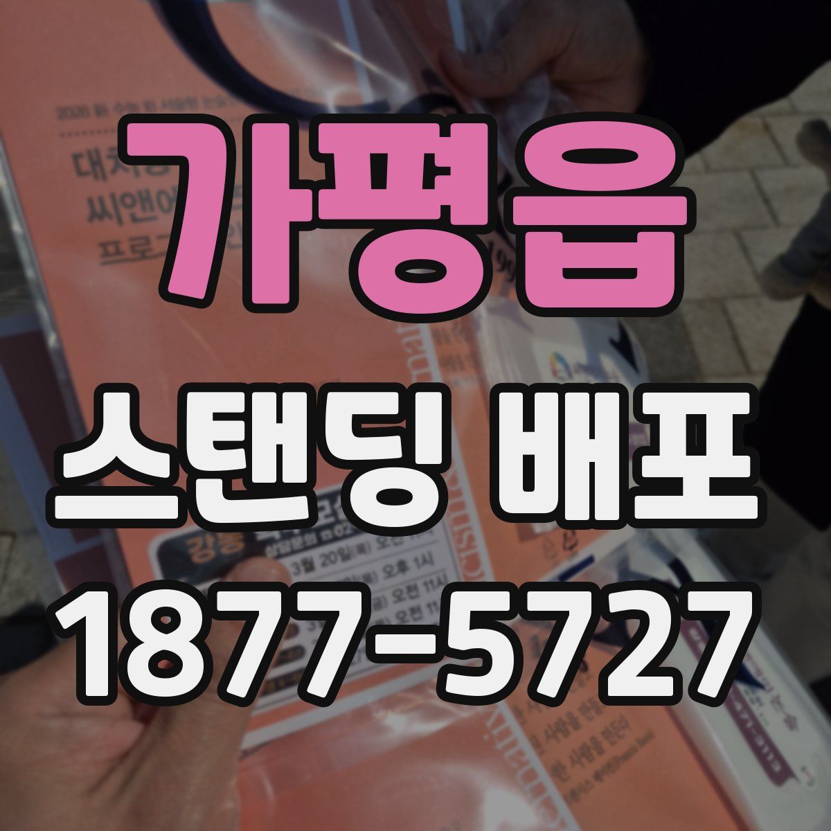가평읍 스탠딩 배포