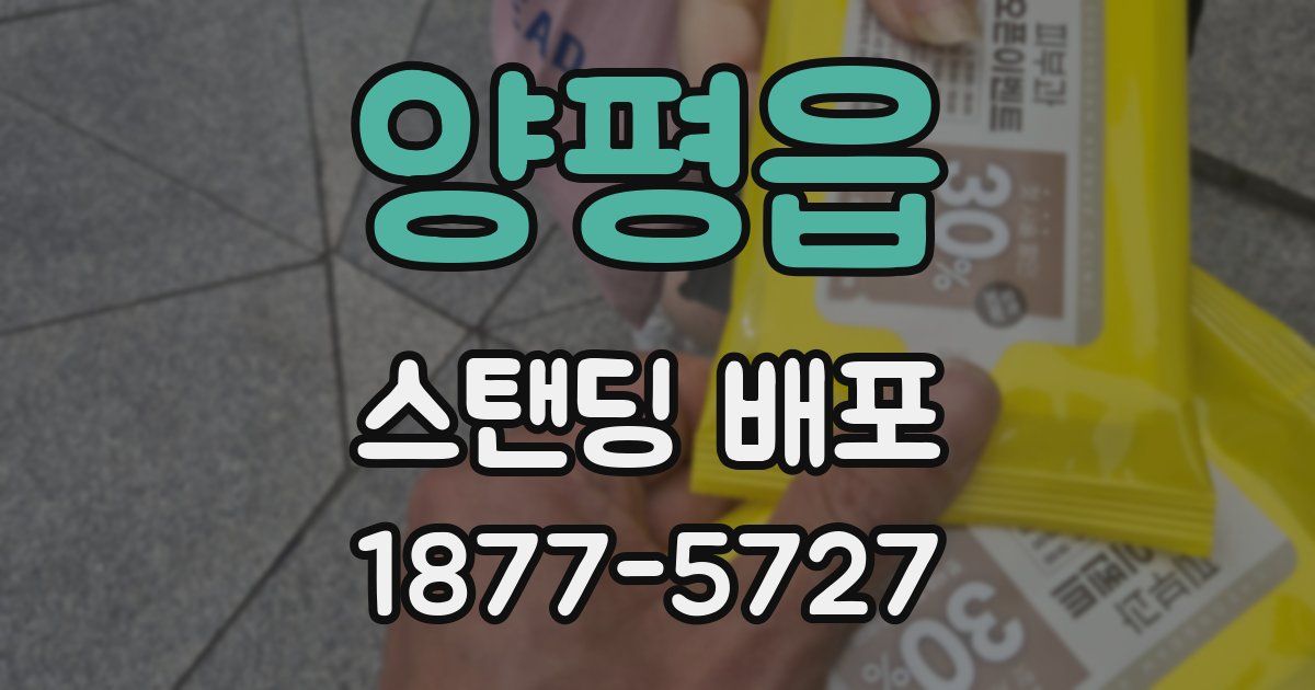 양평읍 스탠딩 배포