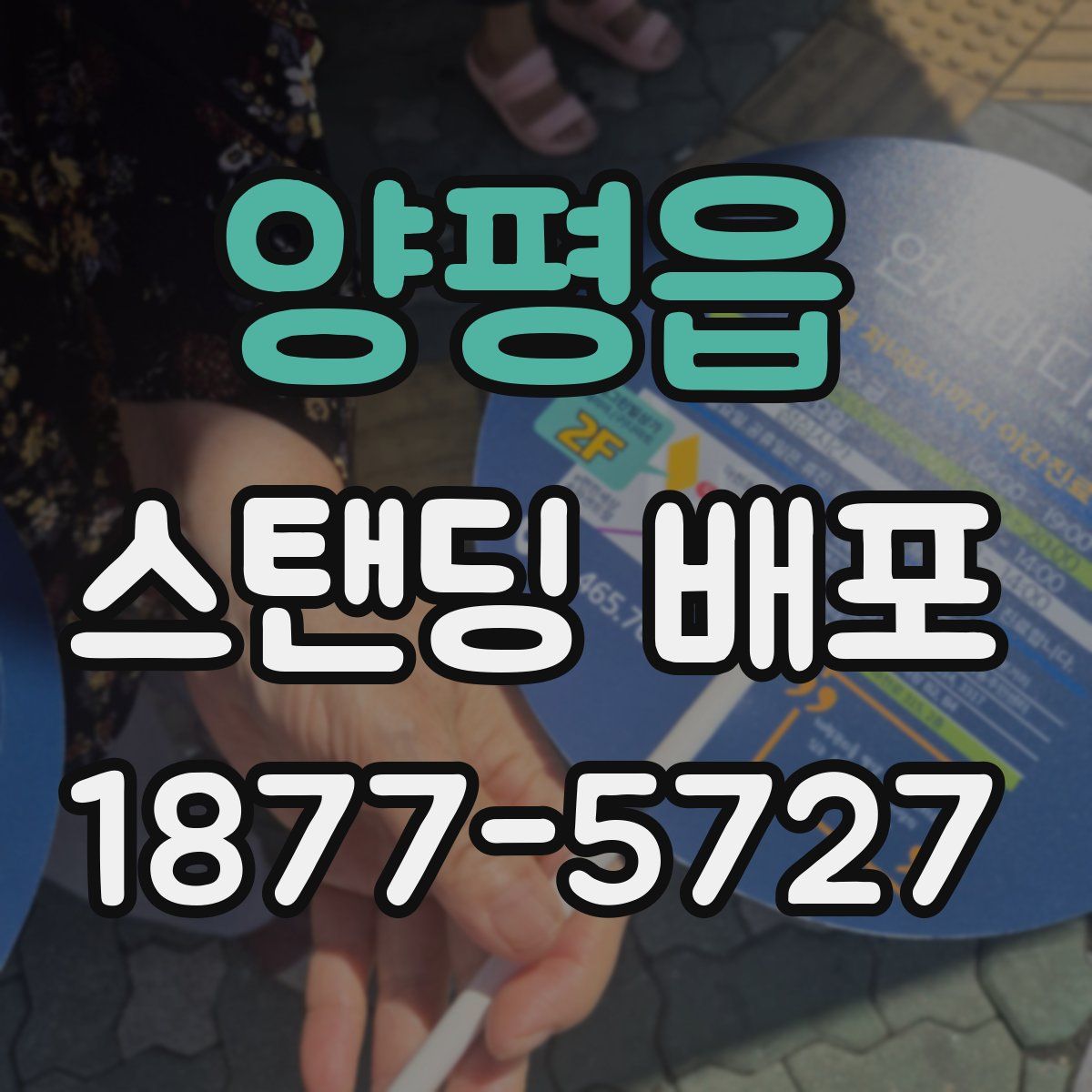 양평읍 스탠딩 배포