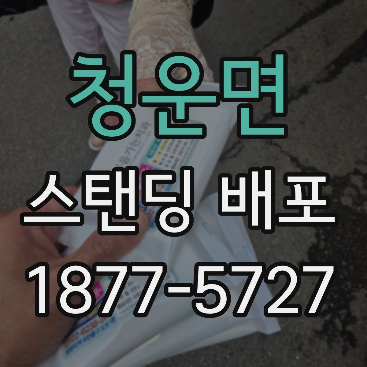 청운면 스탠딩 배포