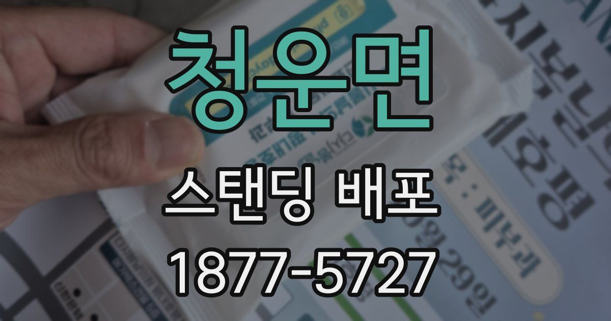 청운면 스탠딩 배포