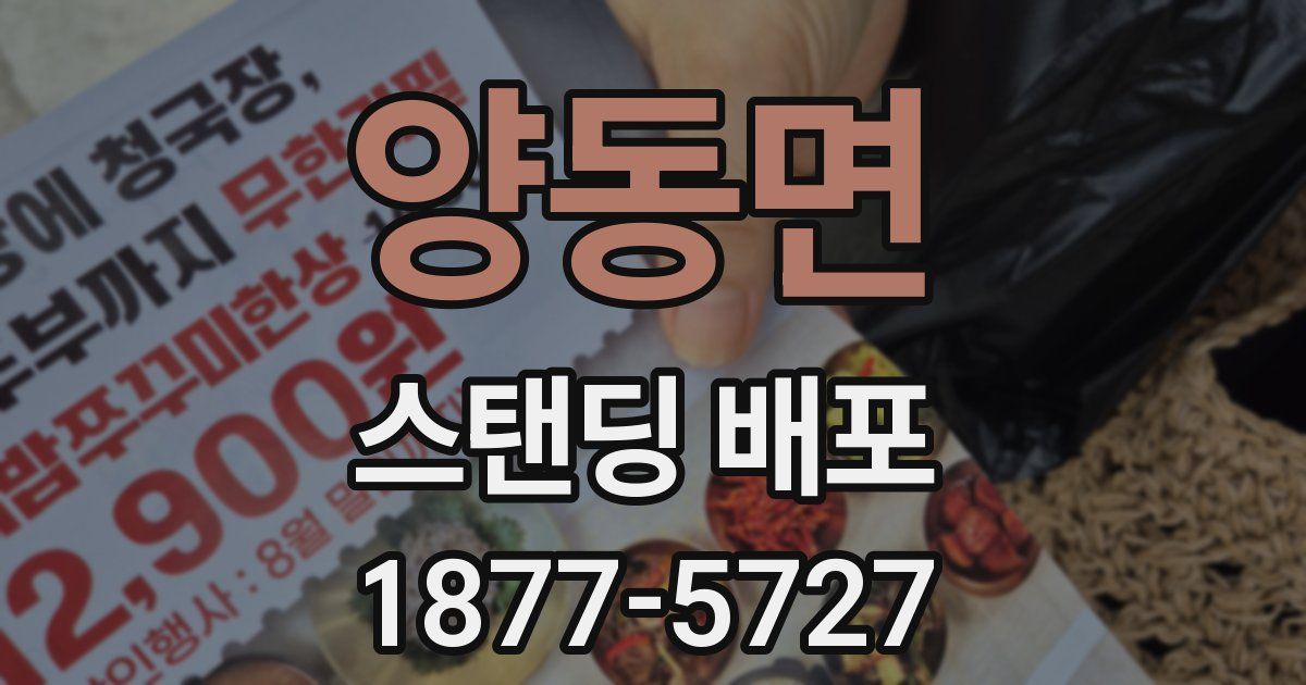 양동면 스탠딩 배포