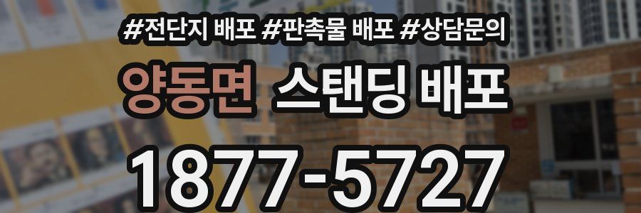 양동면 스탠딩 배포