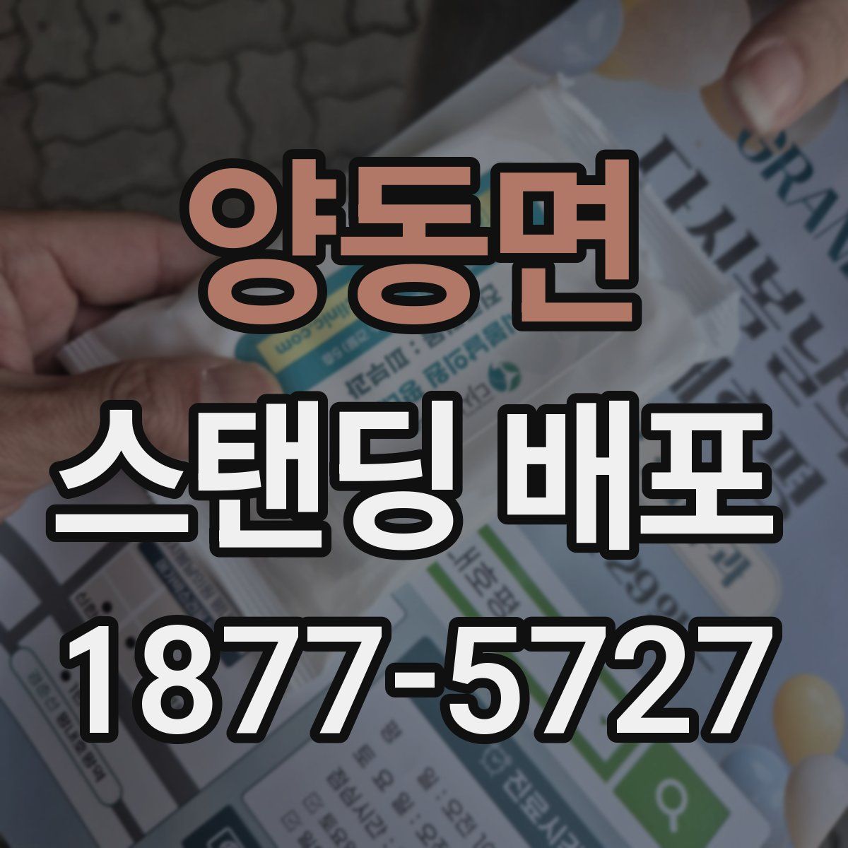 양동면 스탠딩 배포
