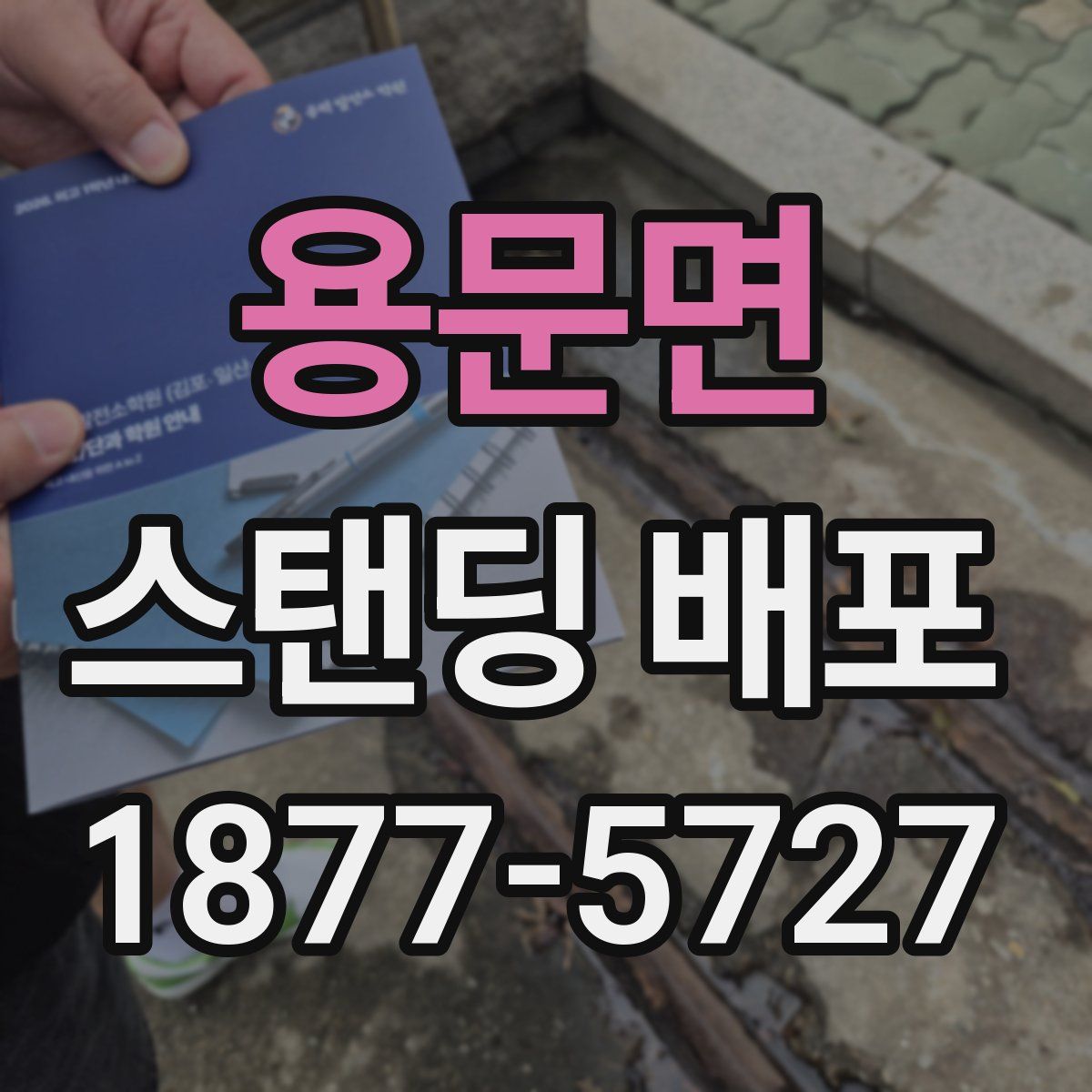 용문면 스탠딩 배포