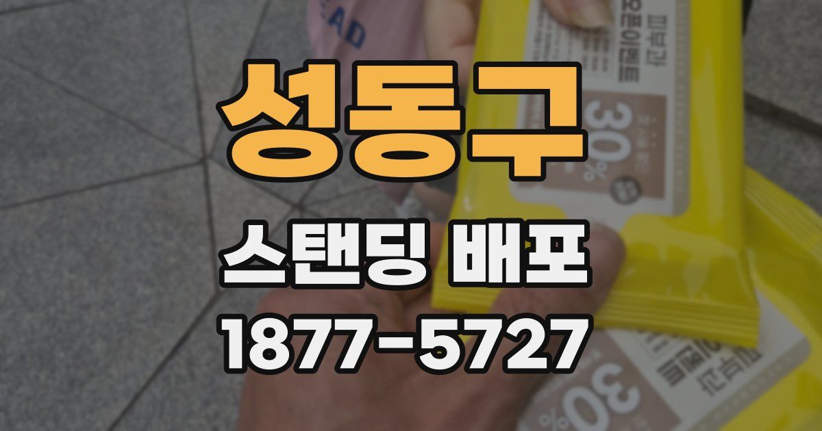 성동구 스탠딩 배포