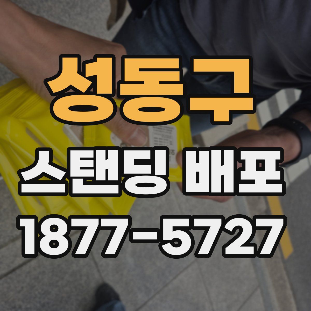 성동구 스탠딩 배포