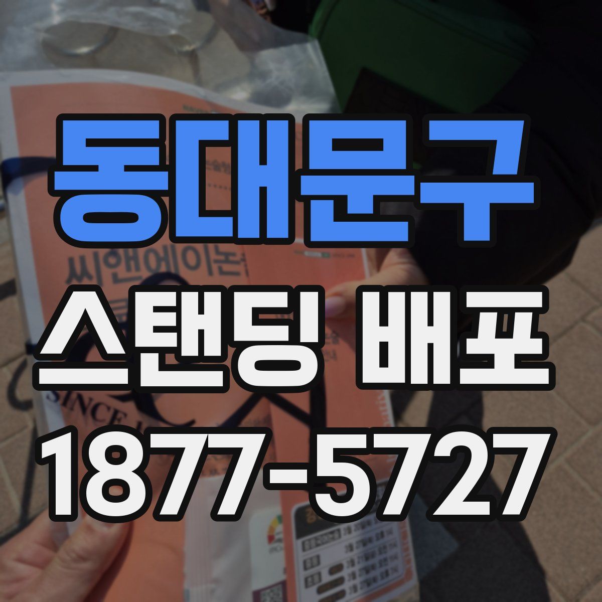 동대문구 스탠딩 배포