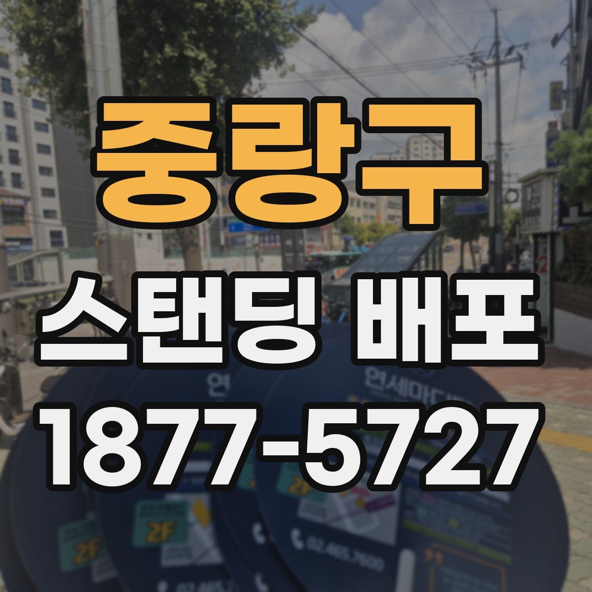중랑구 스탠딩 배포