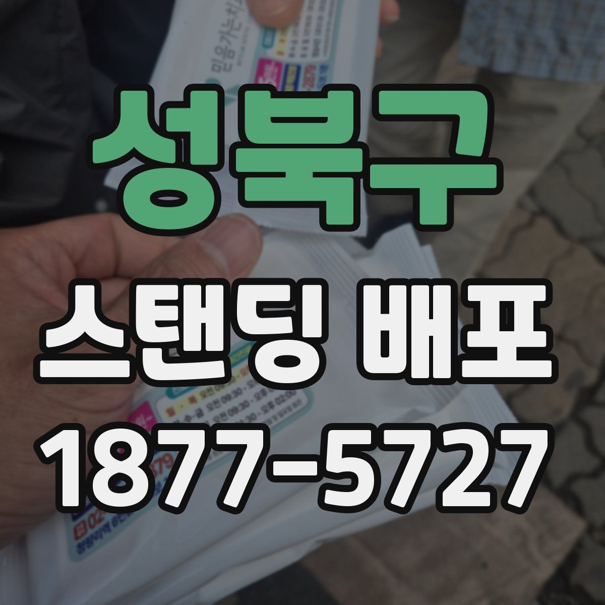 성북구 스탠딩 배포