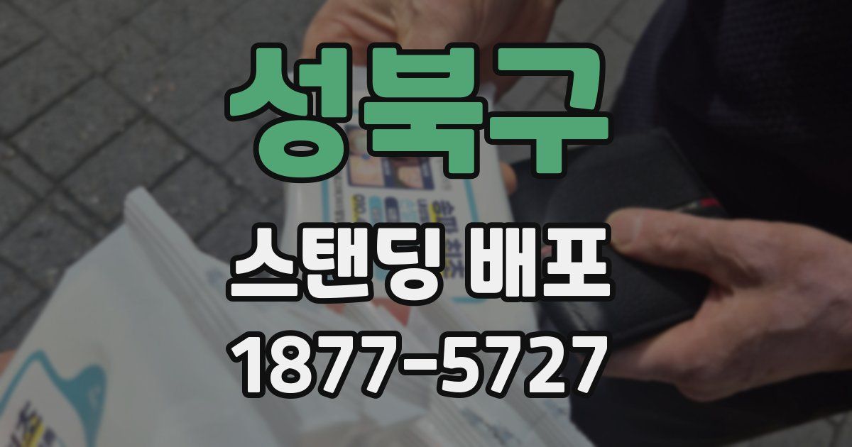 성북구 스탠딩 배포