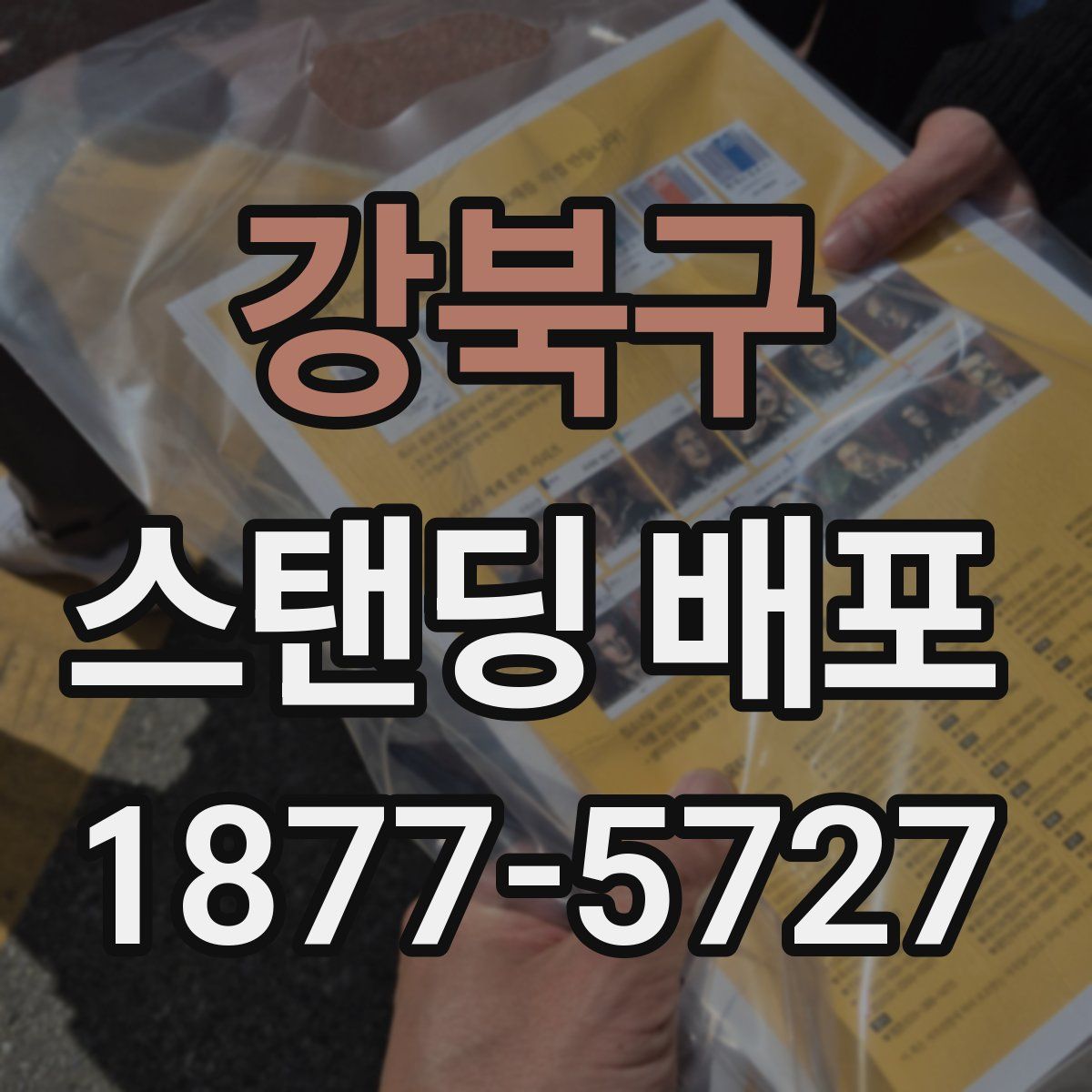 강북구 스탠딩 배포