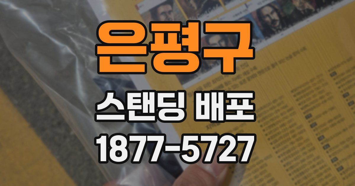 은평구 스탠딩 배포