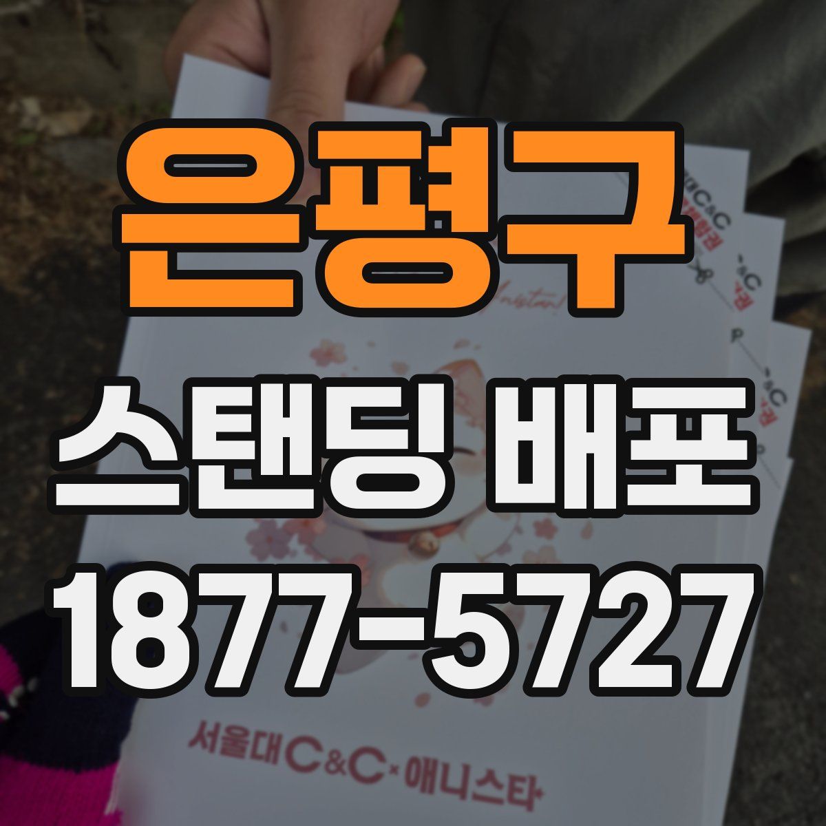 은평구 스탠딩 배포