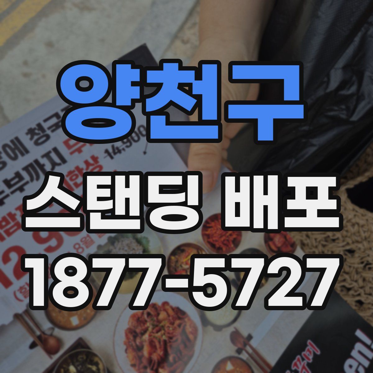 양천구 스탠딩 배포