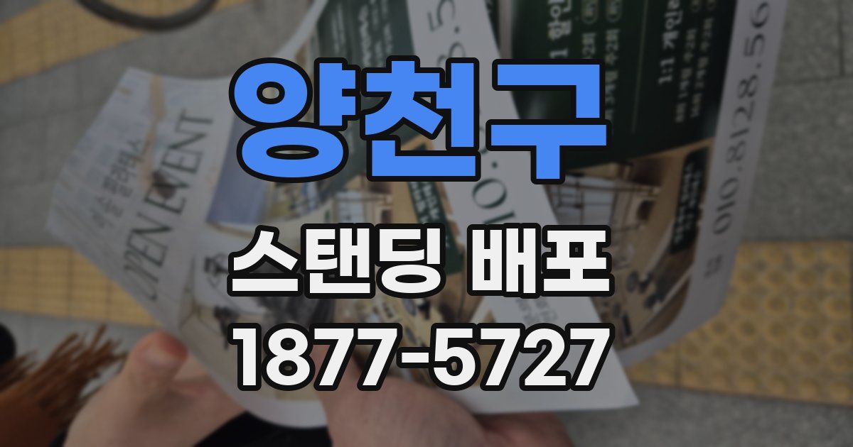 양천구 스탠딩 배포