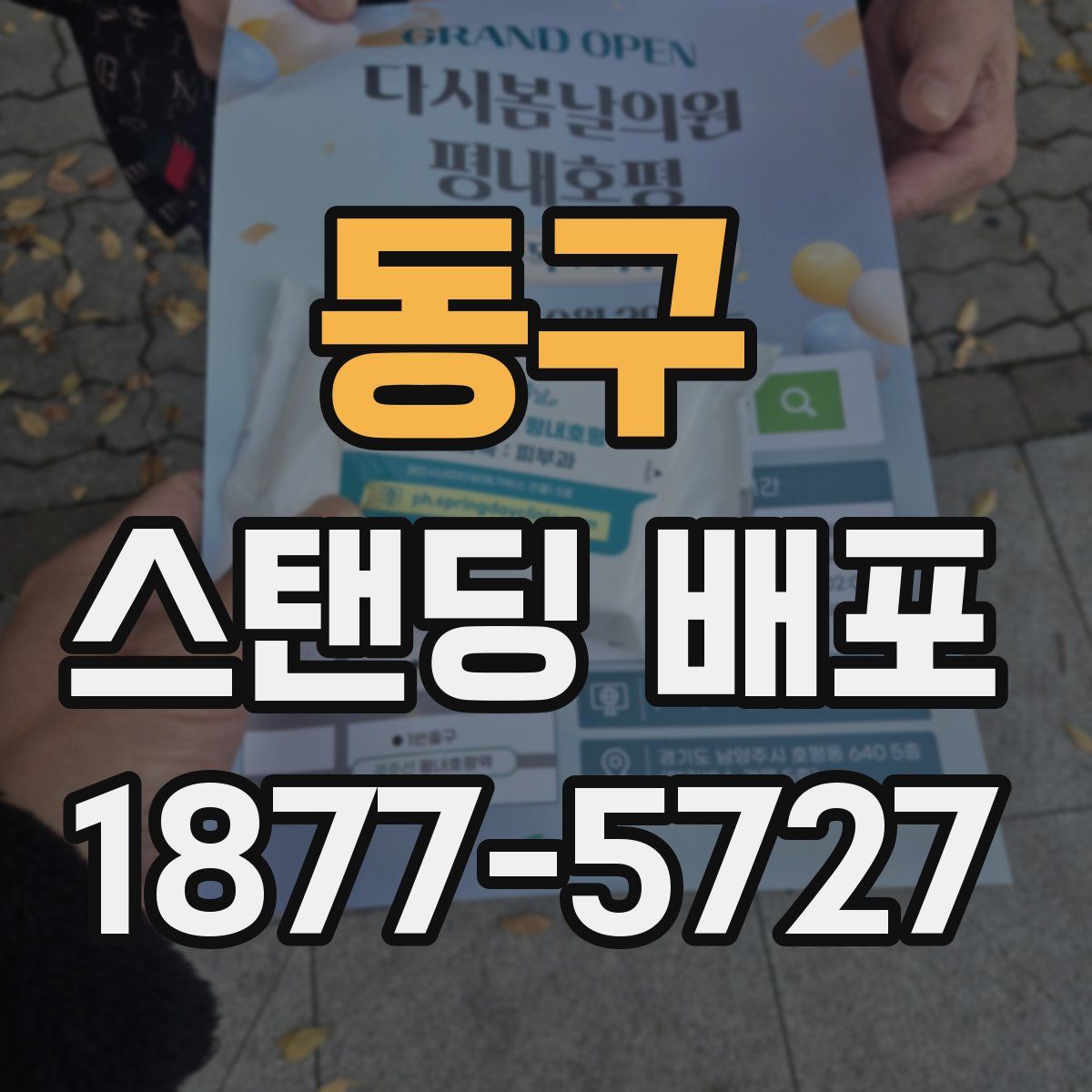 동구 스탠딩 배포