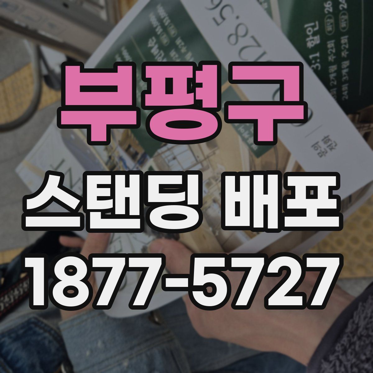부평구 스탠딩 배포