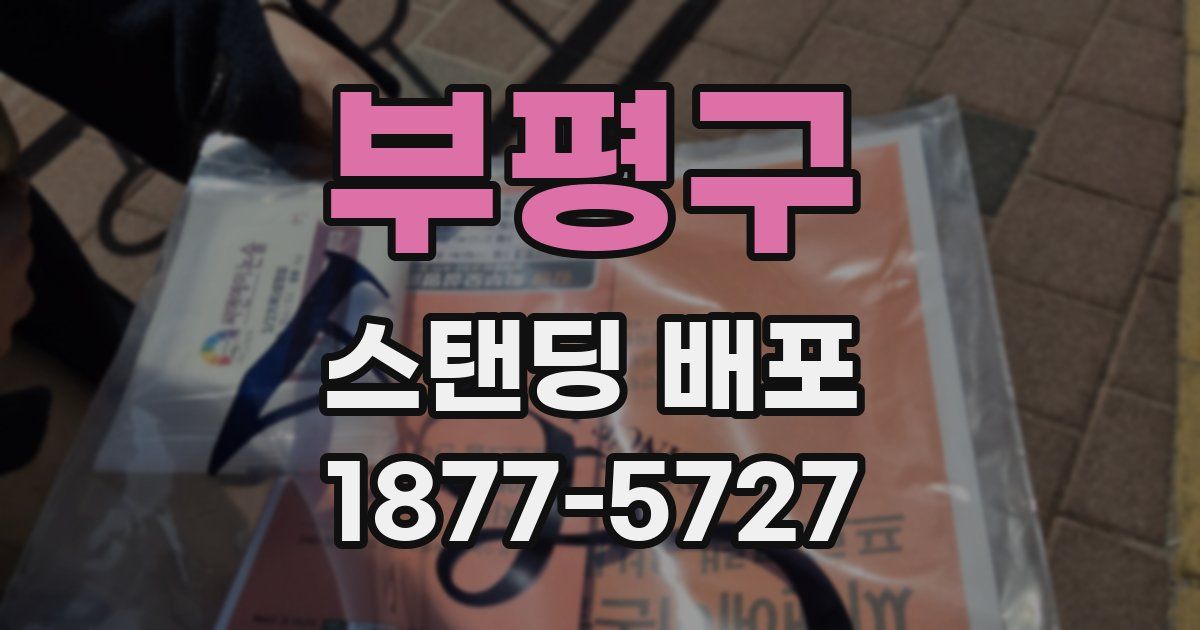 부평구 스탠딩 배포