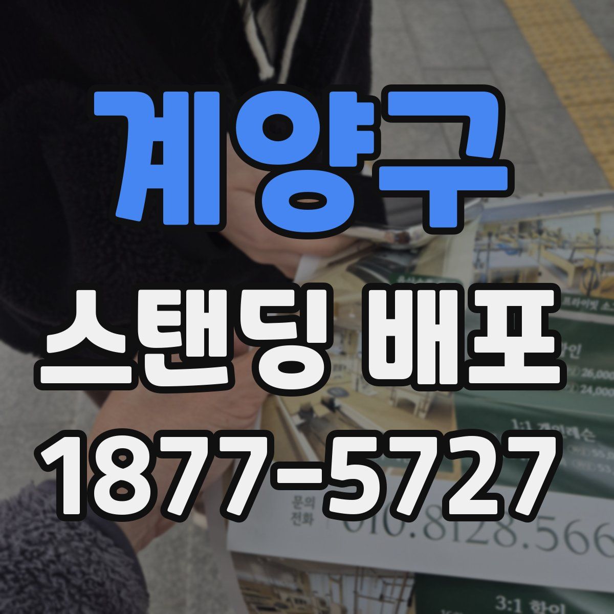 계양구 스탠딩 배포