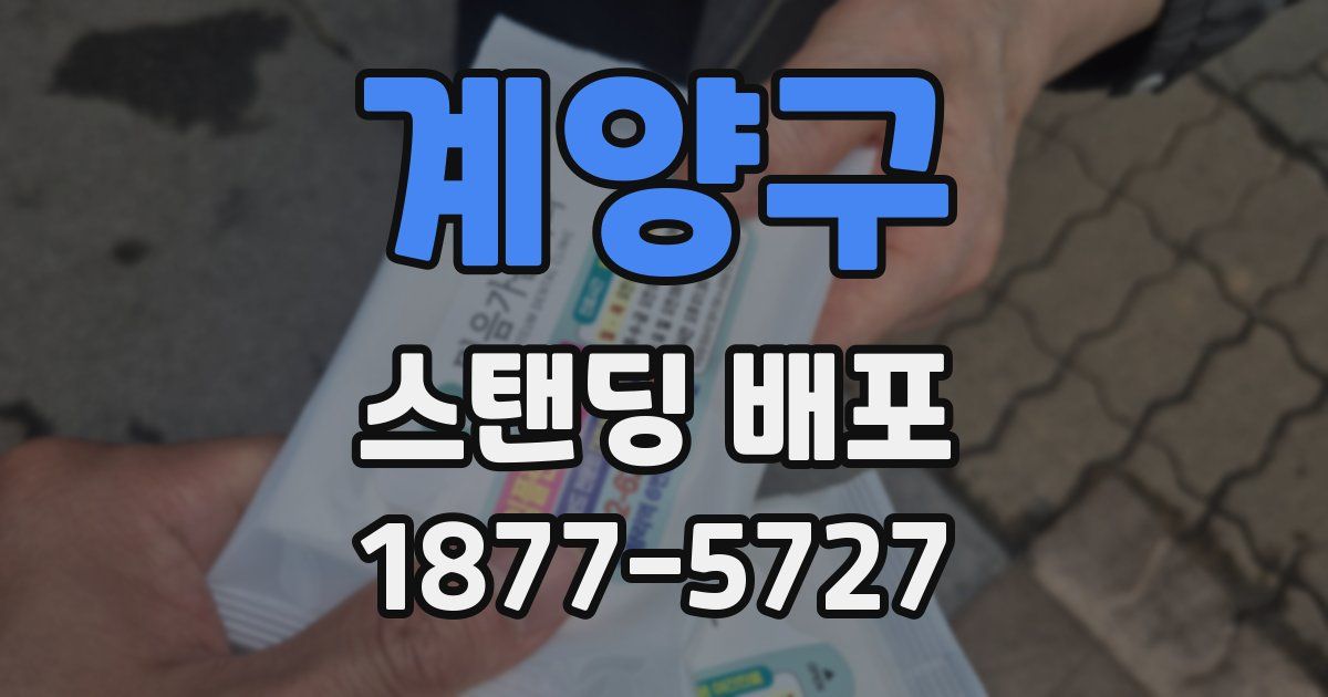 계양구 스탠딩 배포