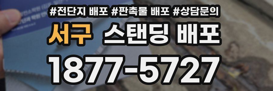 서구 스탠딩 배포