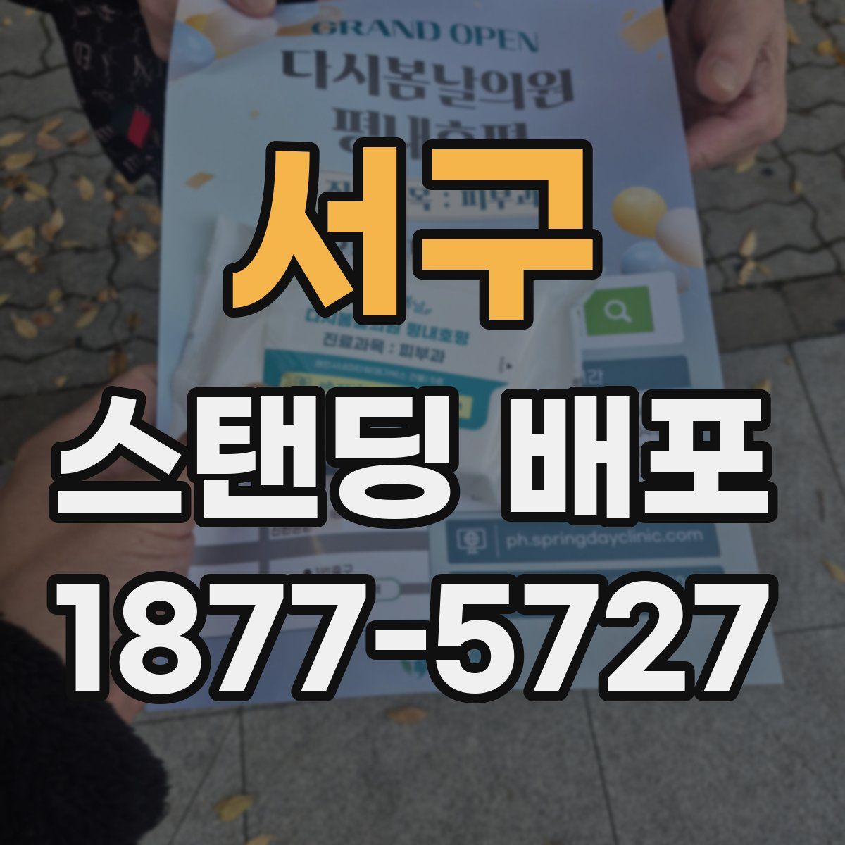 서구 스탠딩 배포