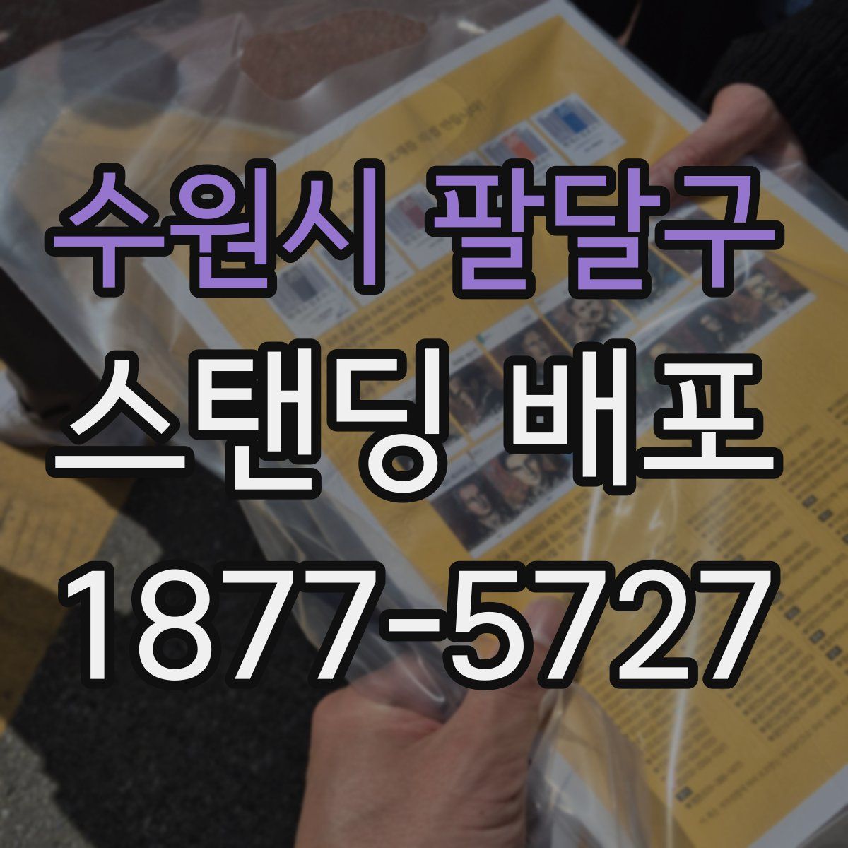 수원시 팔달구 스탠딩 배포