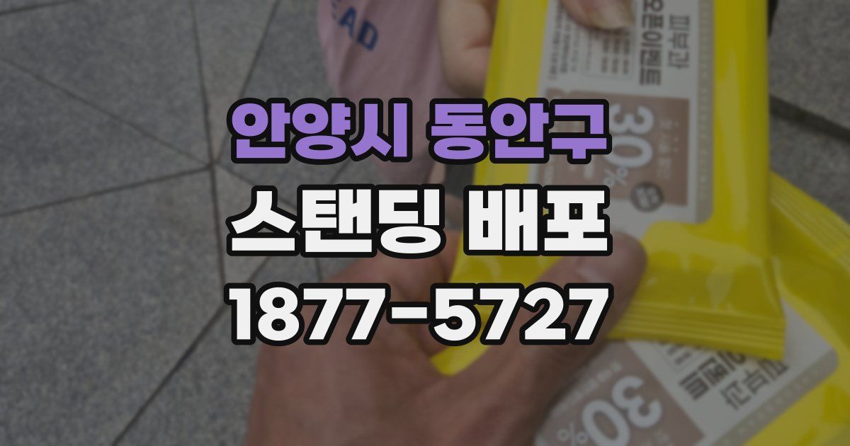 안양시 동안구 스탠딩 배포