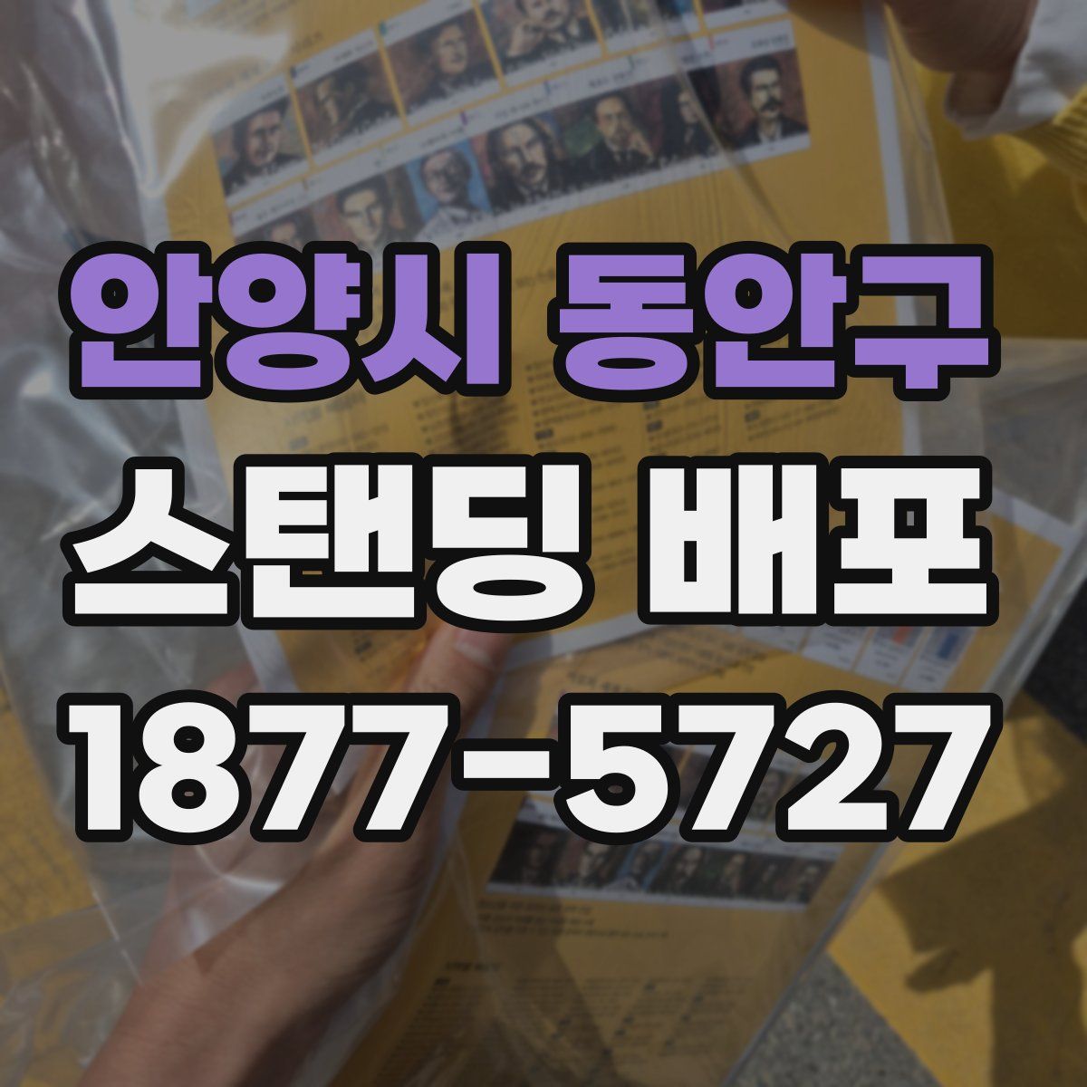 안양시 동안구 스탠딩 배포