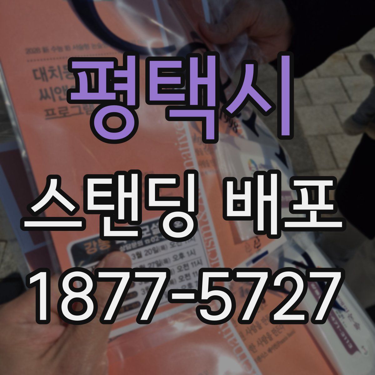 평택시 스탠딩 배포