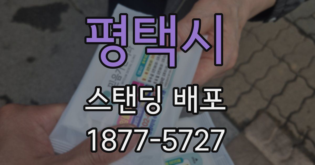 평택시 스탠딩 배포