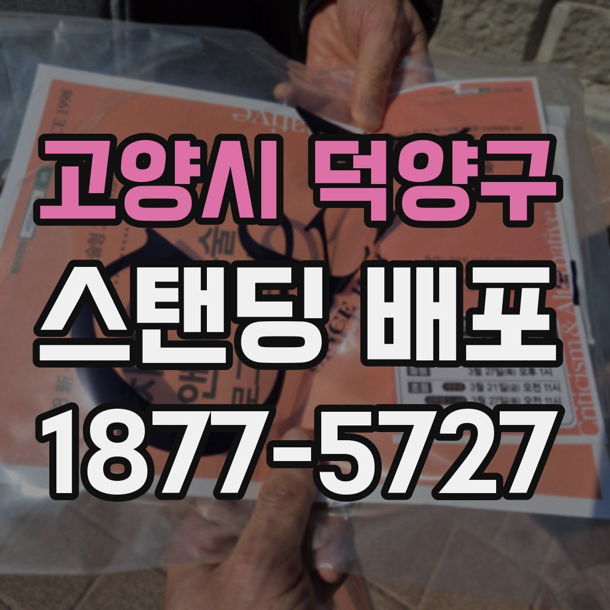고양시 덕양구 스탠딩 배포